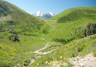 Puy-le-Haut > Les Cours, Auris