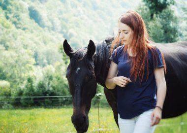 Equidanse Equine Mediation